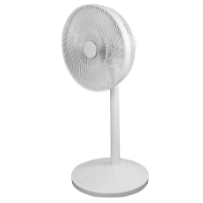 Fans