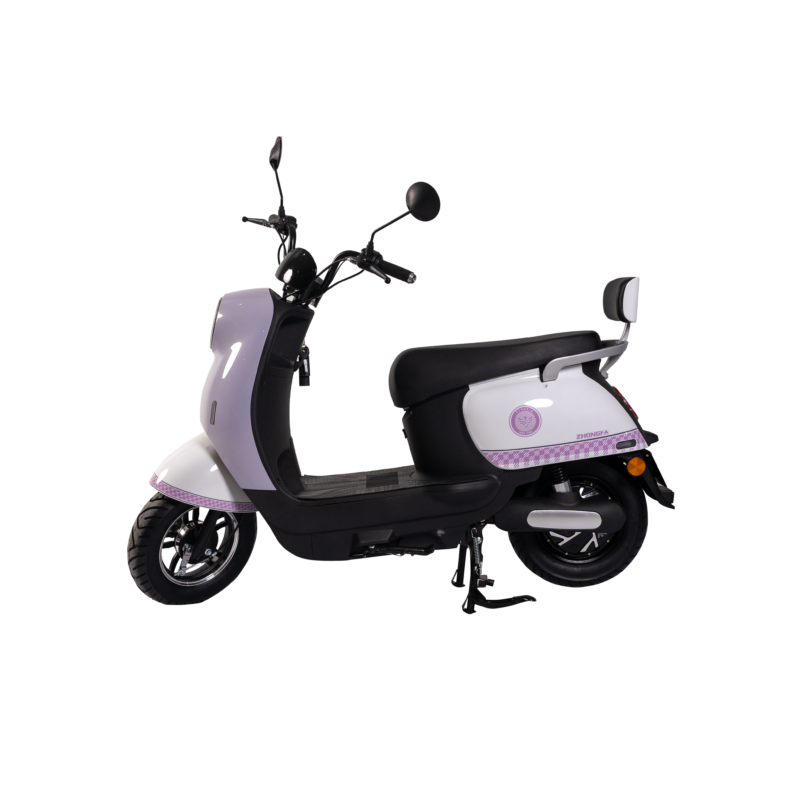 ZF G-1 Electric Scooter