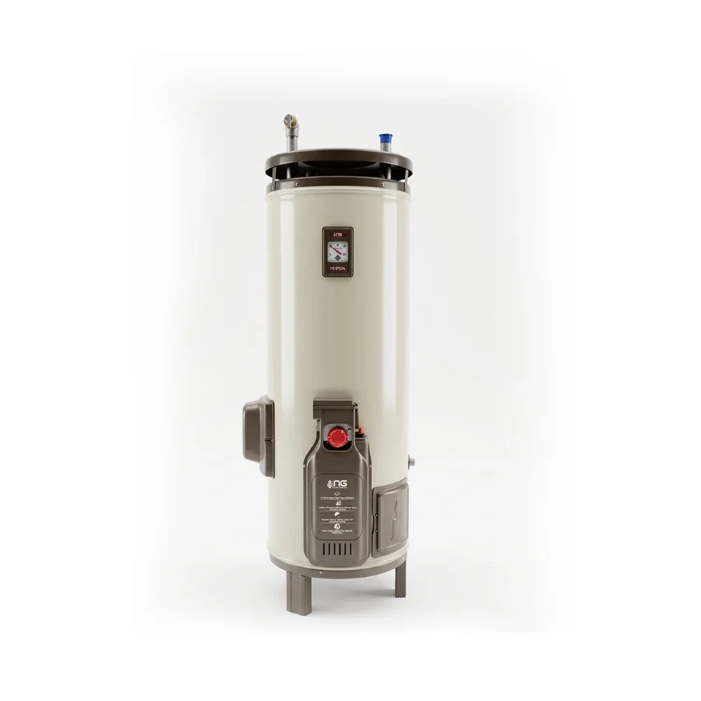 NasGas Electric + Gas Geyser DEG-3030 Super Delux