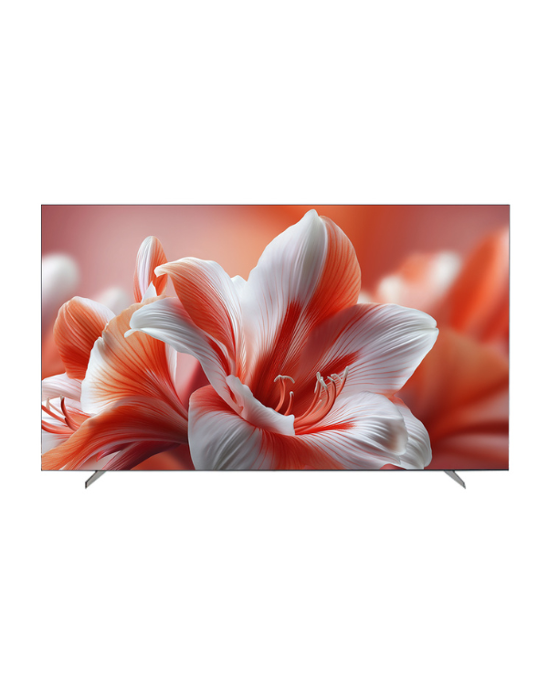 Multynet Official Google TV (65″ IQ50)