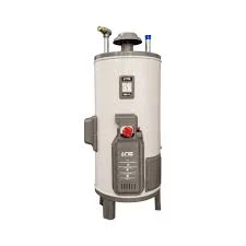 NasGas DEG-15 Super Delux Double Safety Geyser