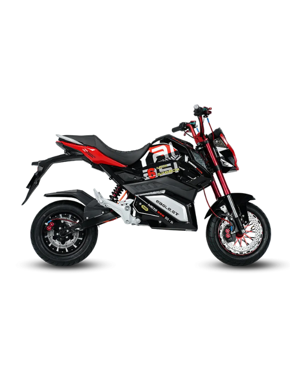 Zhong Fa Z6 Electric Bike